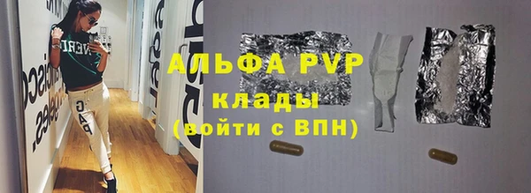 хмурый Каменка