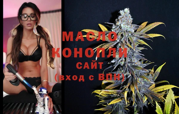 хмурый Каменка
