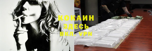 бошки Каменногорск