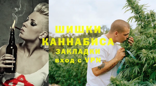 хмурый Каменка