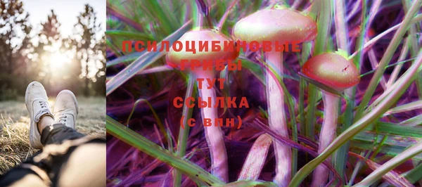 хмурый Каменка