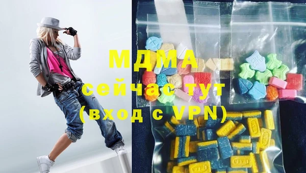 хмурый Каменка