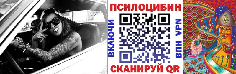 Купить где Зуевка Псилоцибиновые грибы Cubensis